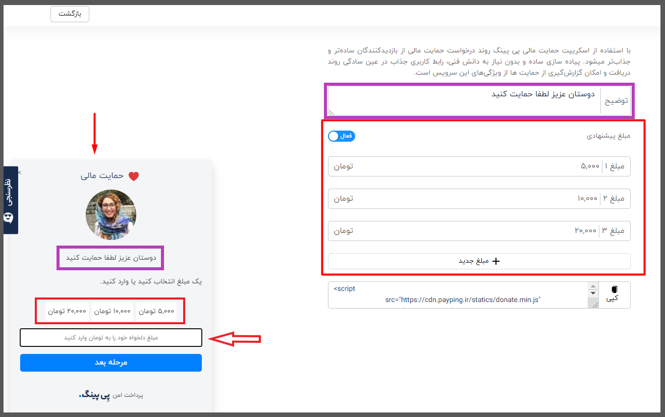 تنظیم کارت حمایت مالی پیپینگ